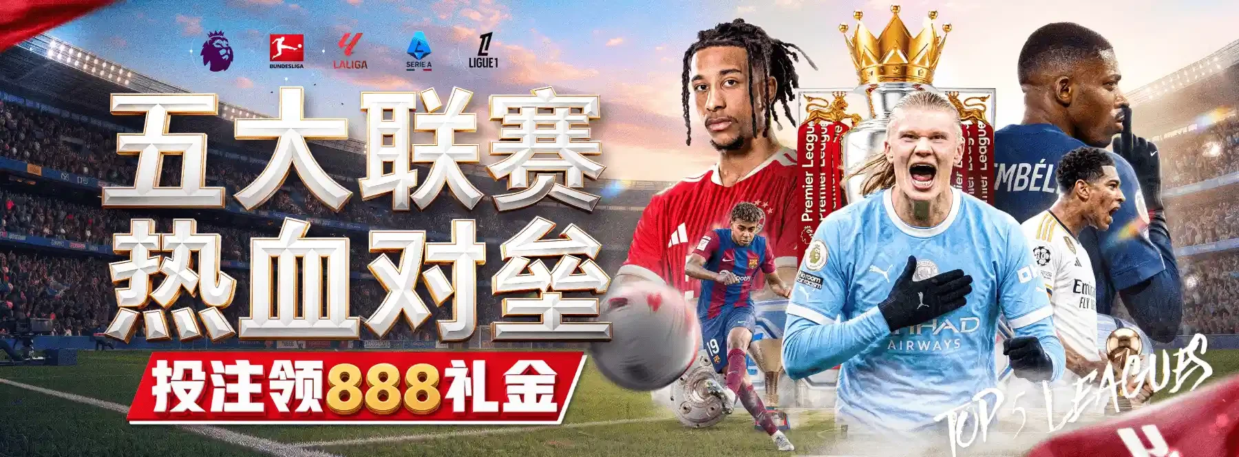 全球赛场的组织与文化
